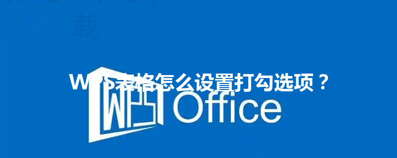 WPS表格怎么设置打勾选项? 6 WPS表格怎么设置打勾选项? 三